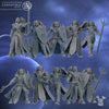 Silver Moon Daughters - Silver Guards - Dakka Dakka