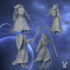 Silver Moon Daughters - Silver Guards - Dakka Dakka