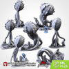 Spores - Txarli Factory