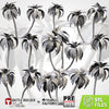 Palms - Txarli Factory