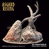 Highland Trail - Asgard Rising