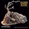 Highland Trail - Asgard Rising