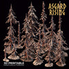 Infected Spruce Trees - Asgard Rising