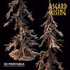Infected Spruce Trees - Asgard Rising