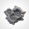 Craters - Txarli Factory