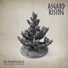 Young Conifers - Asgard Rising