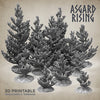 Young Conifers - Asgard Rising