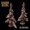 Spruce Forest - Asgard Rising