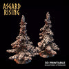 Spruce Forest - Asgard Rising