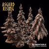 Spruce Forest - Asgard Rising