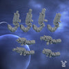 Silver Moon Daughters - Lunar Angels - Dakka Dakka