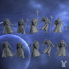 Silver Moon Daughters - Silver Guards - Dakka Dakka