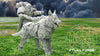 Knights Angelic - Dogs of War - Atlan Forge
