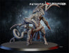 Chaos Things Squad - Ghamak